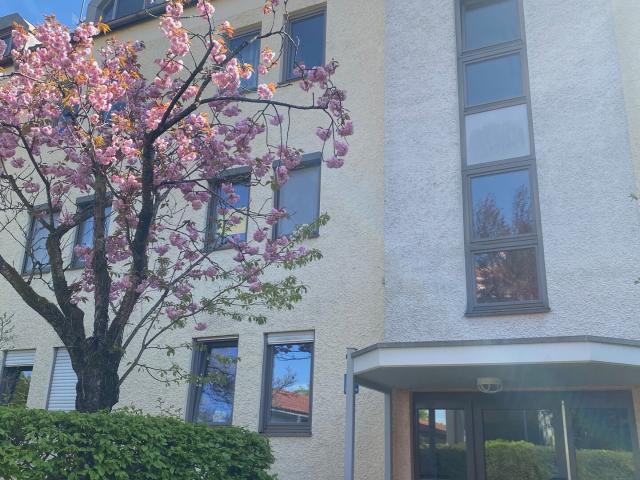 Wohnung kaufen in München, Bayern