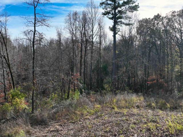 Land for sale in Tennessee