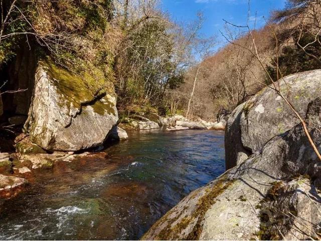 Terreno venda em Ruivais, Ferreiros De Tendais