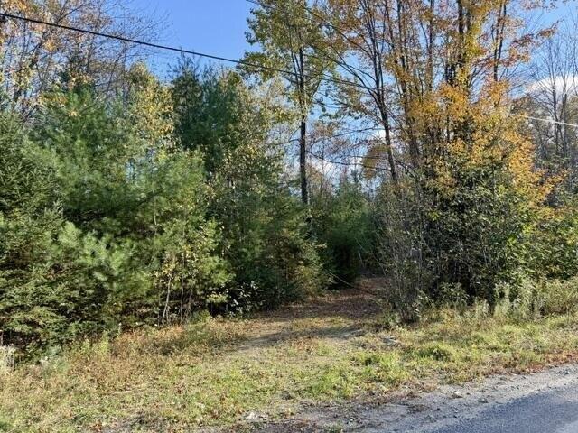 Land for sale in Athens, Somerset County