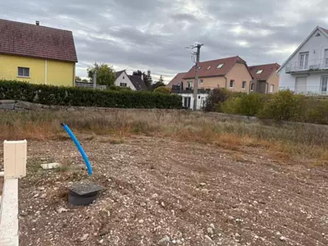 Terrain vente à Muntzenheim, Collectivité européenne d'Alsace