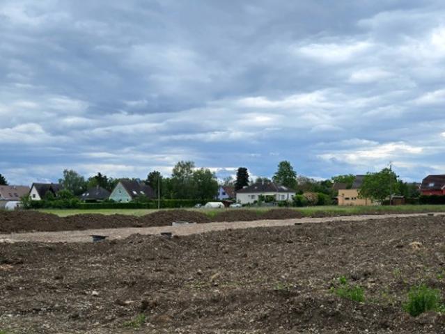 Terrain vente à Colmar-Ribeauvillé, Muntzenheim