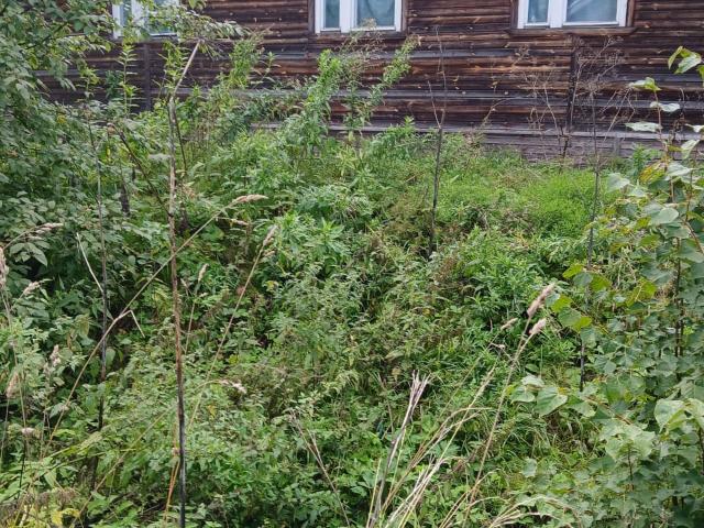 Квартира продажа в Мураши, Кировская область