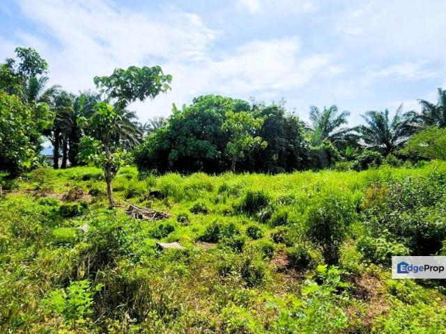 House for sale in Perak, Langkap