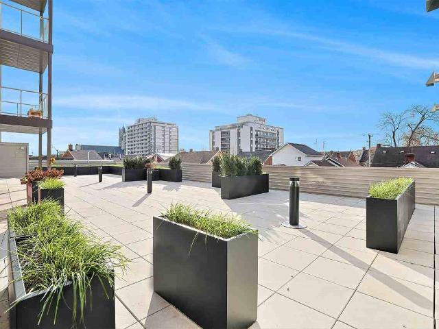Apartment for rent in Kingston, Ontario