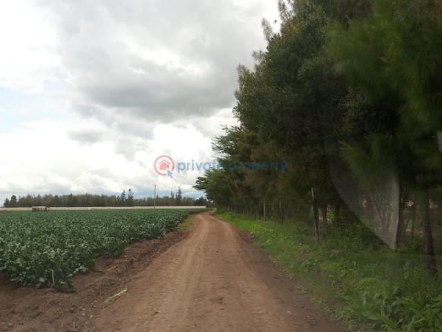 Land for sale in Laikipia