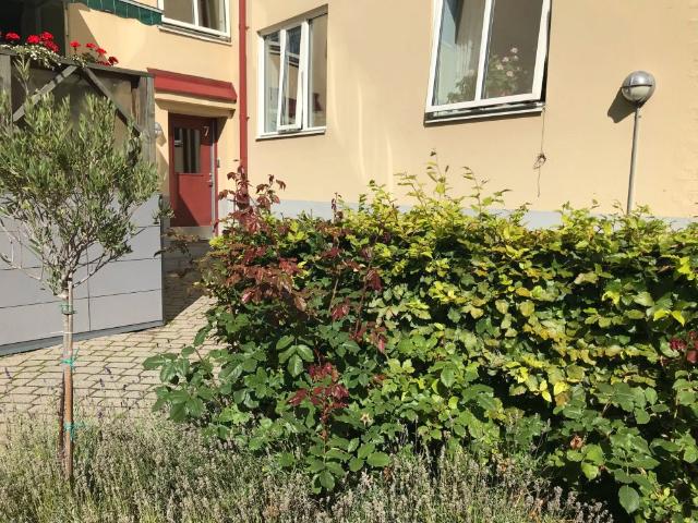 Lägenhet hyra i Gotland, Skåne