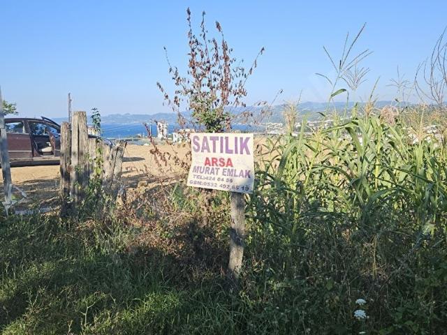 Fatsa içerisinde satılık Arsa