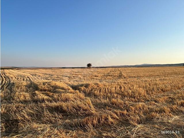 Değişören, Seyitgazi içerisinde satılık Arsa