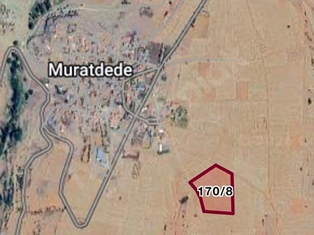Muratdede Köyü, Karaman Merkez içerisinde satılık Arsa