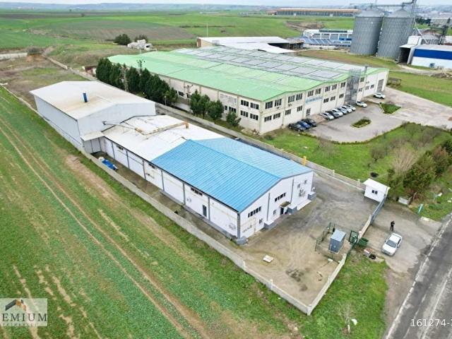 Muratli, Tekirdağ içerisinde satılık Fabrika
