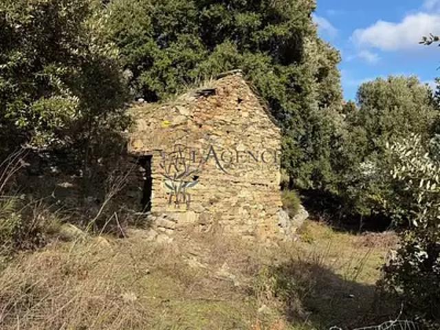 Maison vente à Calvi, Murato