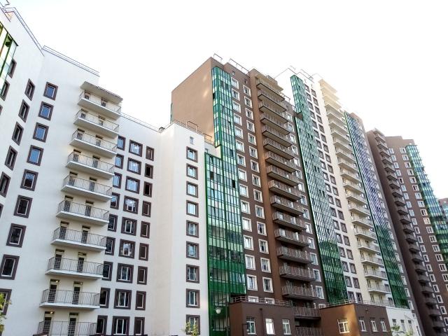 Квартира аренда в Мурино, Ленинградская область