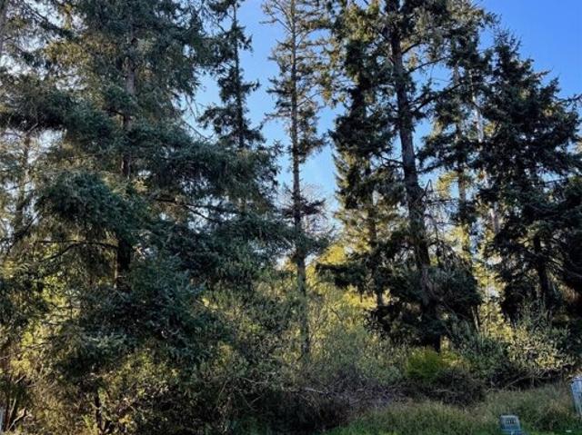 Land for sale in Ocean Shores