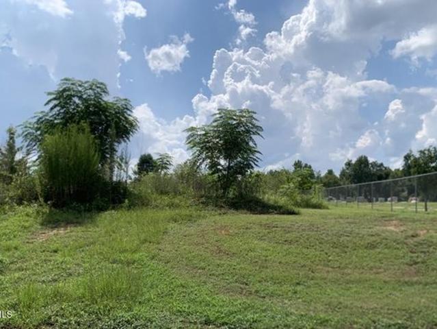 Land for sale in Midville, Georgia