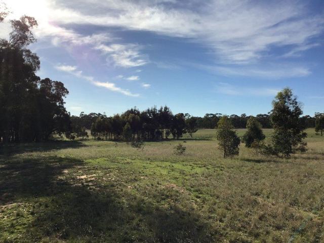 Land for sale in Murphys Creek, Victoria