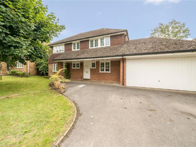 House for rent in Sunninghill and Ascot, Ascot