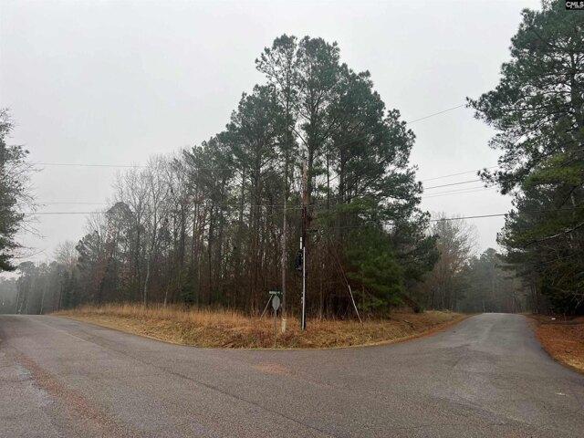 Land for sale in Batesburg