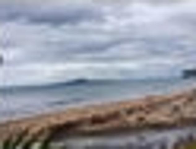 House for rent in Whangaparaoa, Oroua County