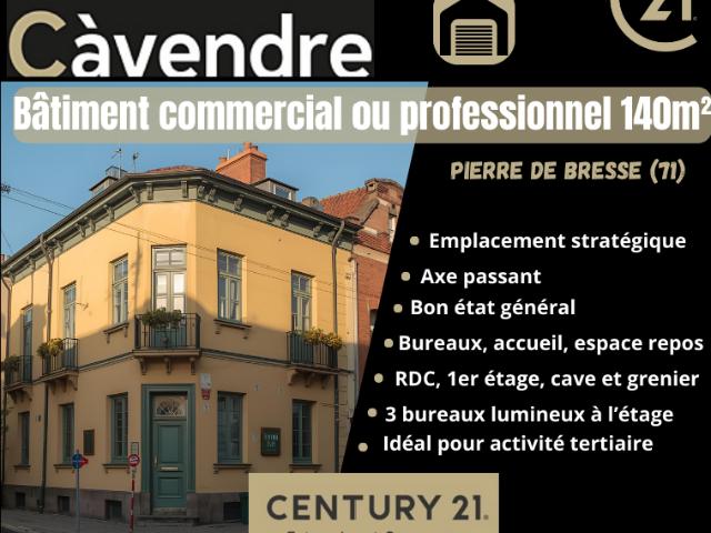 Local Commercial vente à Louhans-Châteaurenaud, Pierre-de-bresse