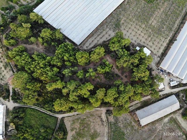 Aksu, Antalya içerisinde satılık Arsa