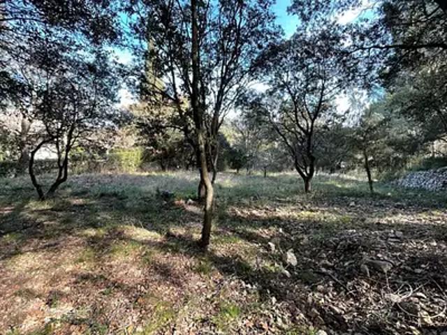 Terrain vente à Montpellier, Murviel-lès-montpellier
