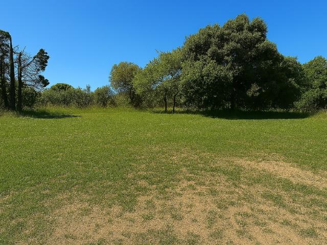 Terrain vente à Nîmes, Mus