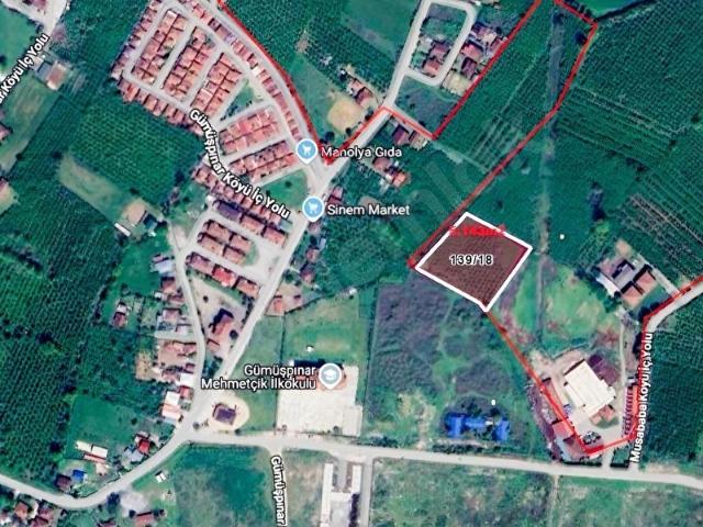 Düzce Merkez, Düzce içerisinde satılık mülk