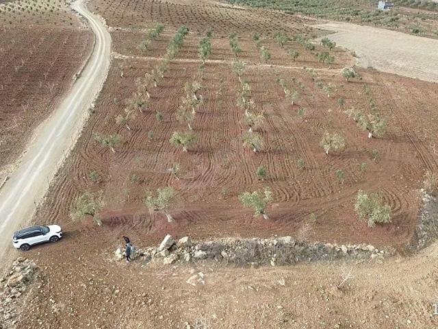 Musabeyli, Kilis içerisinde satılık Arsa