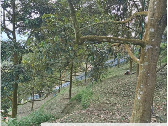 Shop for sale in Pahang