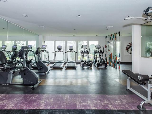 Apartment for rent in Dallas, Texas
