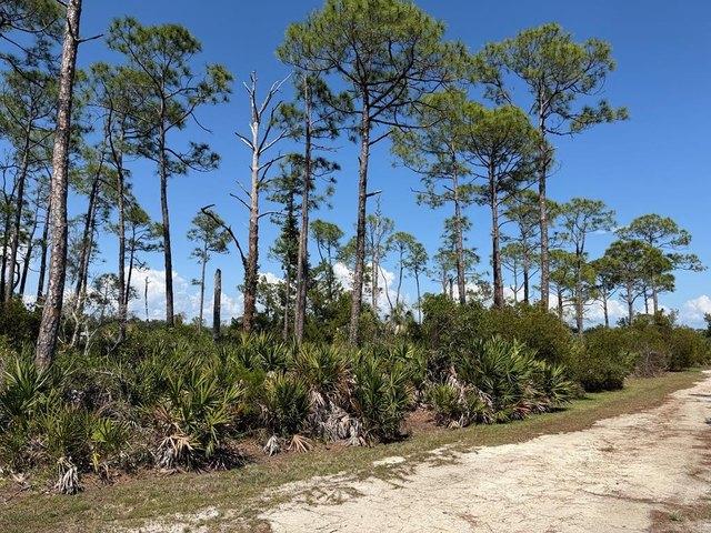Land for sale in Cedar Key, Florida