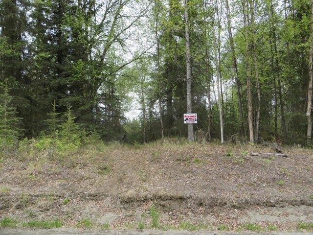 Land for sale in Kasilof