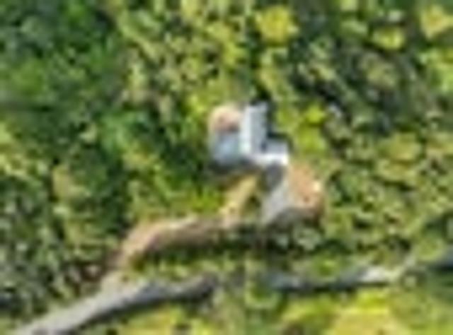 House for sale in Ngunguru, Northland