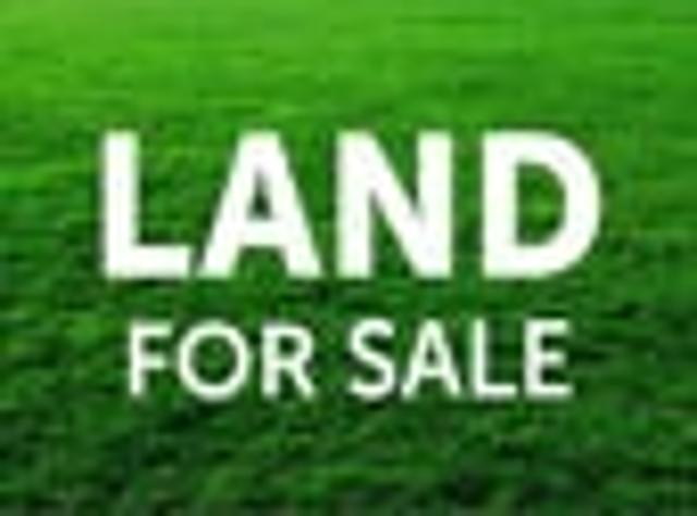 Land for sale in Awhitu