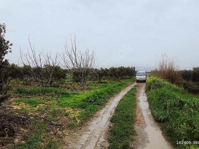 Akhisar, Manisa içerisinde satılık Arsa