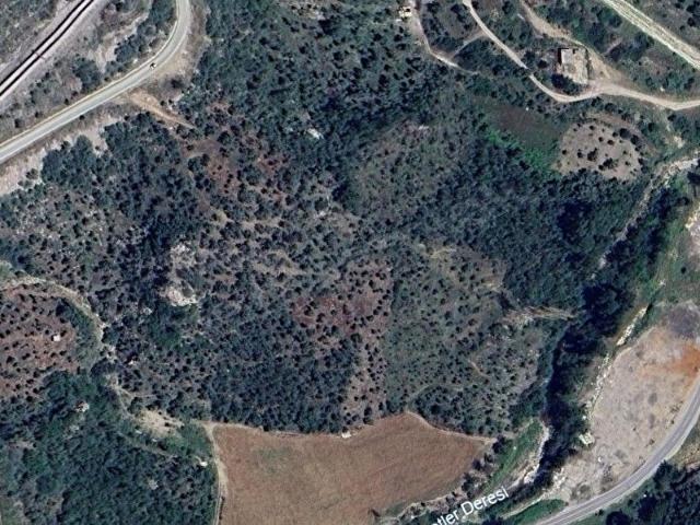 Milas, Muğla içerisinde satılık mülk