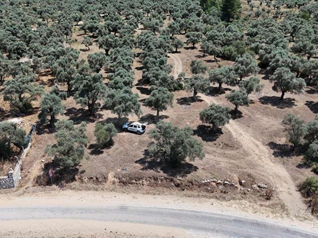 Milas, Muğla içerisinde satılık mülk