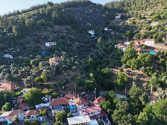Milas, Muğla içerisinde satılık mülk