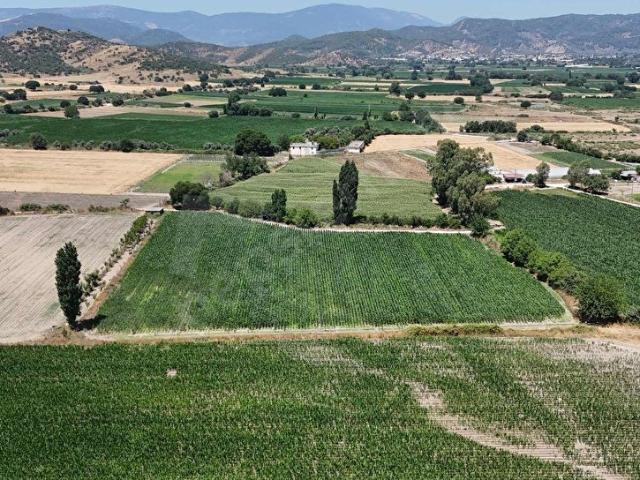 Milas, Muğla içerisinde satılık Arsa