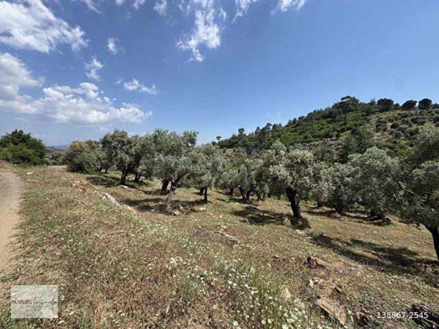 Milas, Muğla içerisinde satılık mülk