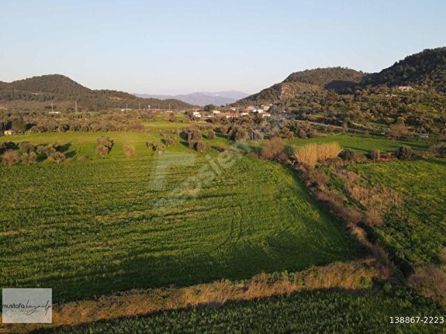 Milas, Muğla içerisinde satılık Arsa