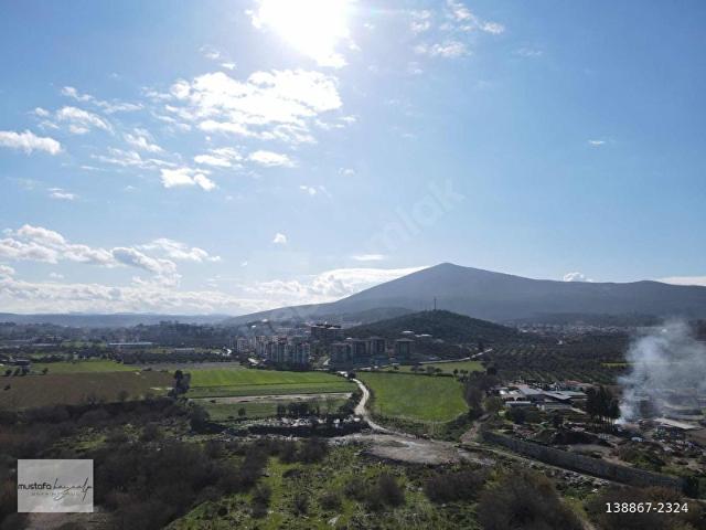 Milas, Muğla içerisinde satılık mülk