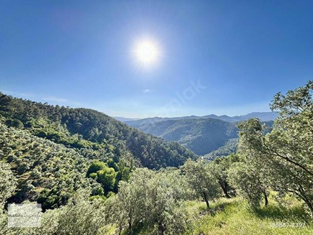 Milas, Muğla içerisinde satılık mülk