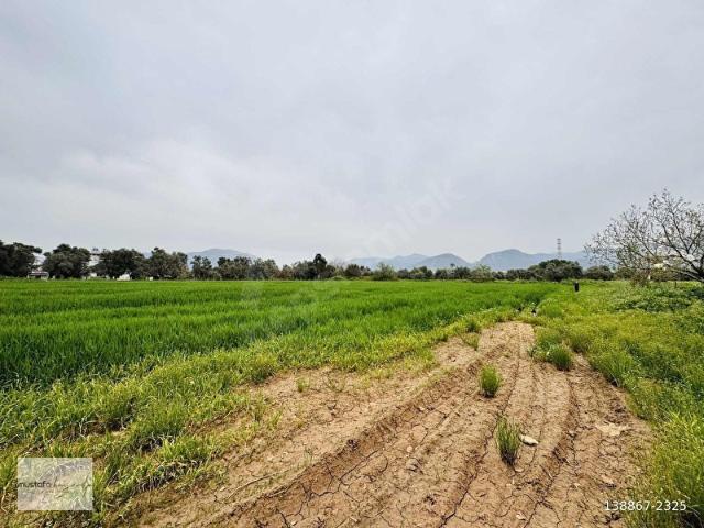 Milas, Muğla içerisinde satılık Arsa