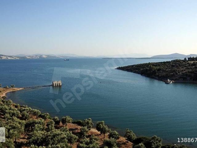 Milas, Muğla içerisinde satılık mülk
