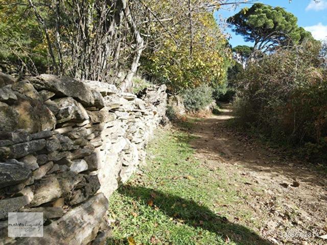 Milas, Muğla içerisinde satılık mülk
