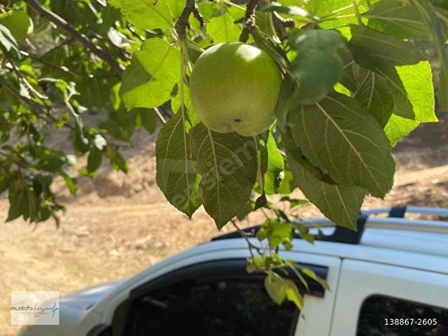 Milas, Muğla içerisinde satılık mülk