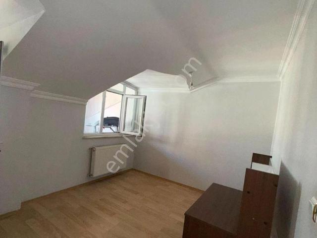 Avcilar, İstanbul içerisinde kiralık mülk