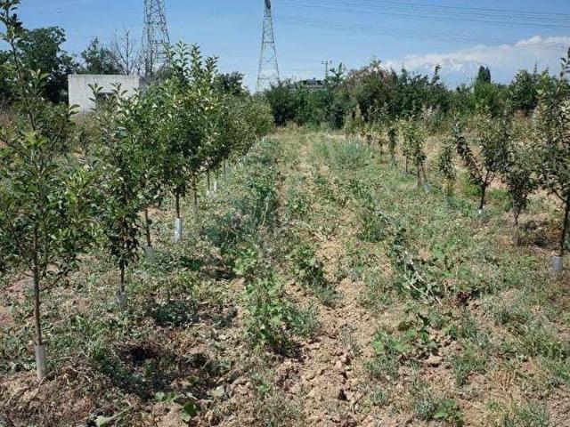 Mustafabeyli, Yahyalı içerisinde satılık Arsa